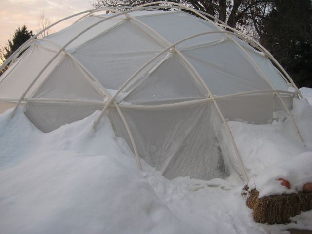 Fish And Koi Pond Covers Shelter Systems These Pond Covers Offer The Best Value Because They Are Strong Durable Water Wind Resistant Aesthetically Pleasing And Affordable